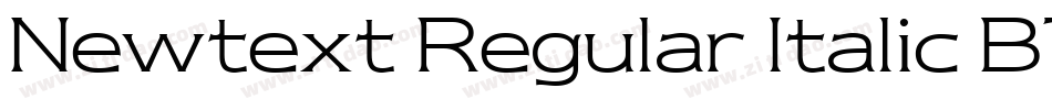 Newtext Regular Italic BT字体转换